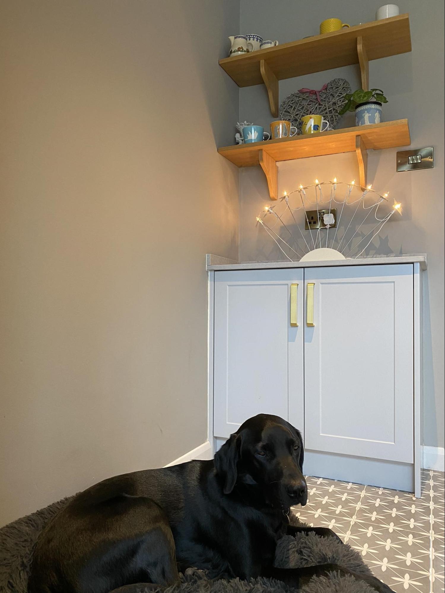 Free standing cabinet